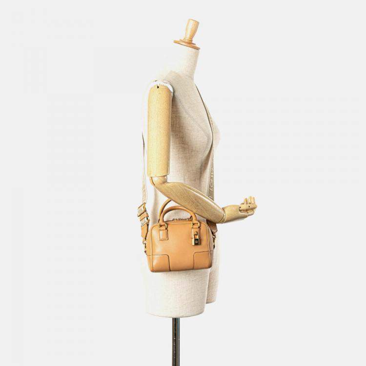 Pre Owned Loewe Brown Calfskin Amazona 16 Square Bag