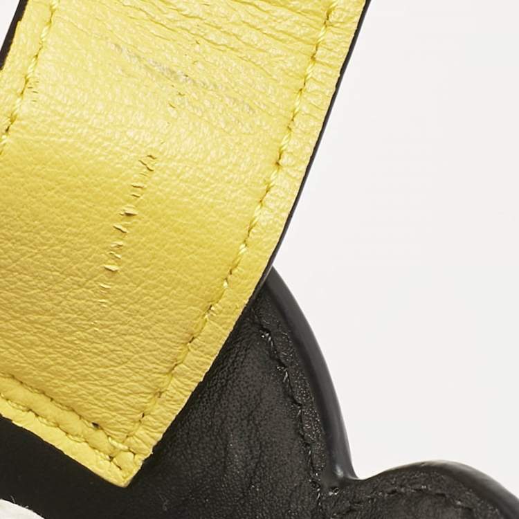 Pre Owned Loewe Yellow Leather Elephant Pocket Crossbody Bag