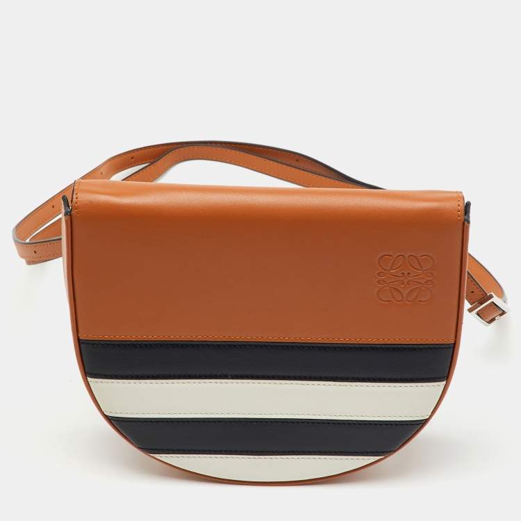 Pre Owned Loewe Multicolor Stripe Leather Heel Covertible Beltbag