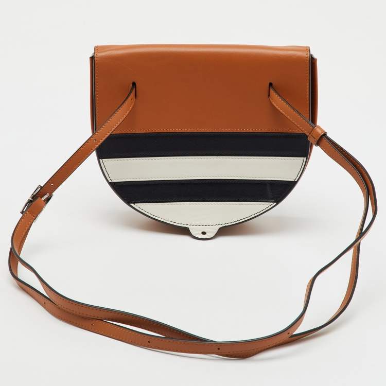 Pre Owned Loewe Multicolor Stripe Leather Heel Covertible Beltbag