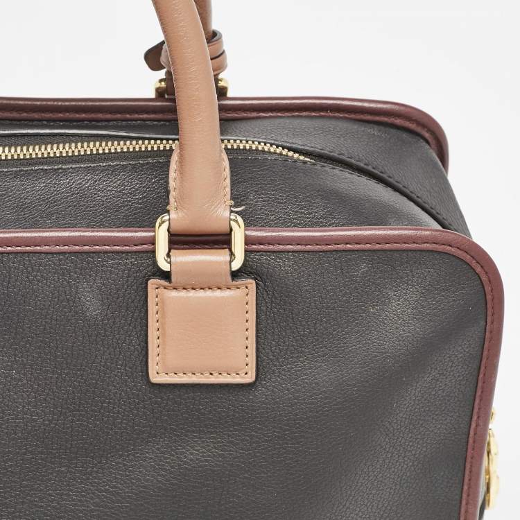 Pre Owned Loewe Black/Burgundy Leather Amazona 36 Satchel