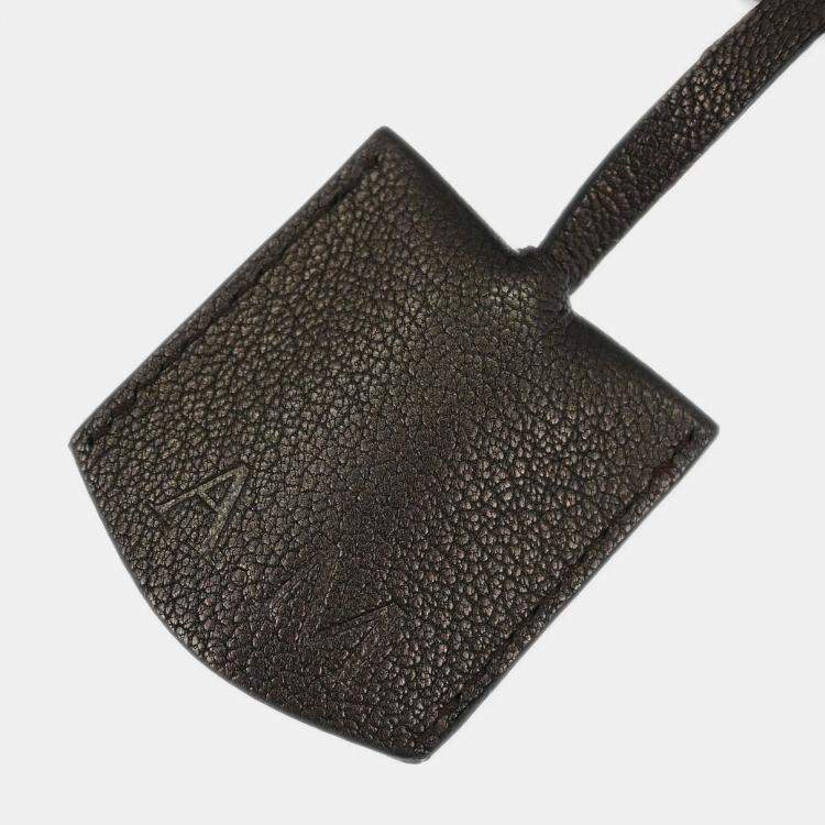 Pre Owned Loewe Metallic Brown Amazona 36 Handbag 060910