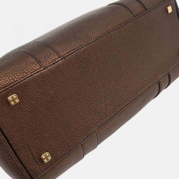 Pre Owned Loewe Bronze Leather Amazona 36 Handbag