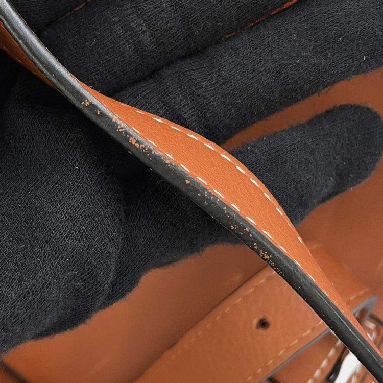 Pre Owned Loewe Goya Anagram Backpack Blue/White/Brown Canvas Leather