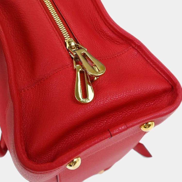 مملوكة مسبقًا Loewe Red Amazona 36 Handbag