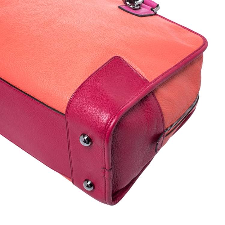 Pre Owned Loewe Tricolor Leather Amazona Satchel