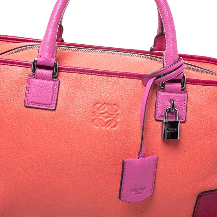 Pre Owned Loewe Tricolor Leather Amazona Satchel