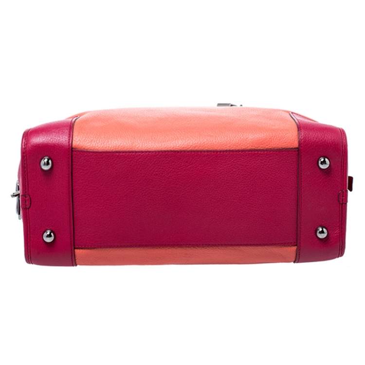 Pre Owned Loewe Tricolor Leather Amazona Satchel