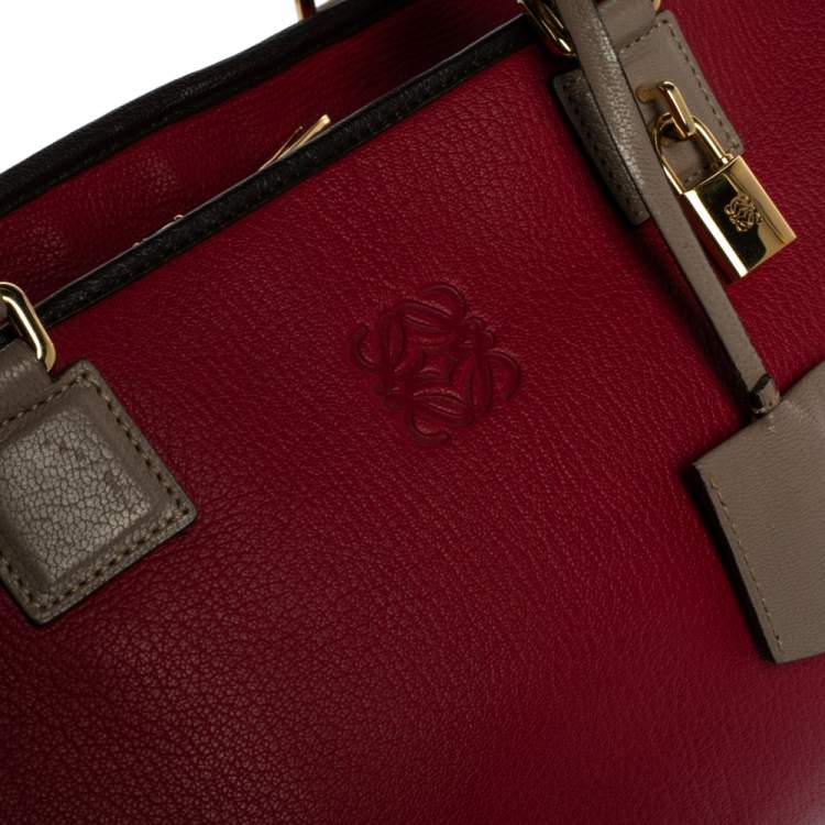 Pre Owned Loewe Tri Color Leather Amazona Satchel