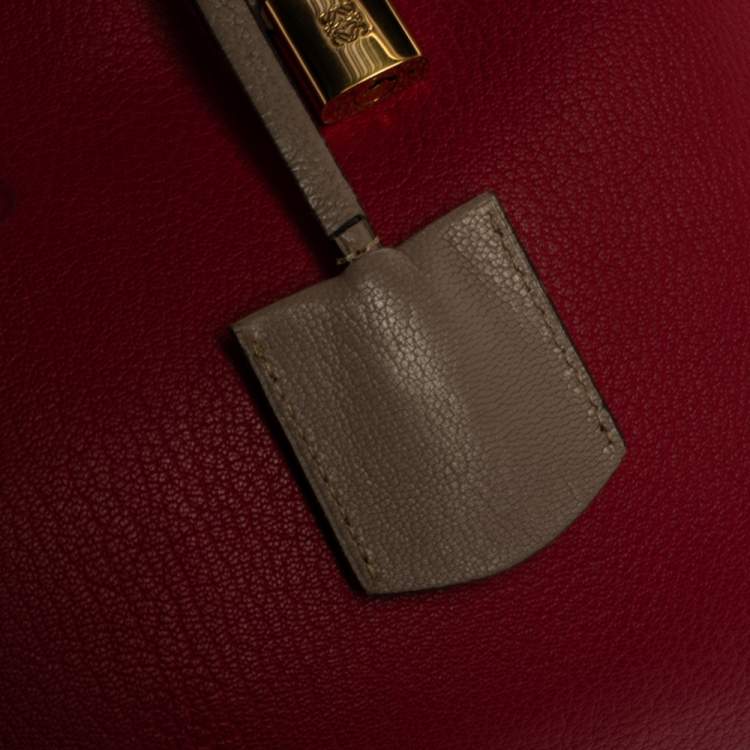 Pre Owned Loewe Tri Color Leather Amazona Satchel