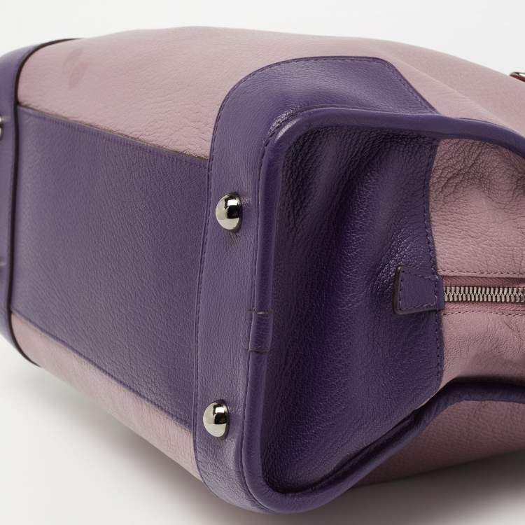 Pre Owned Loewe Tri Color Leather Amazona Satchel