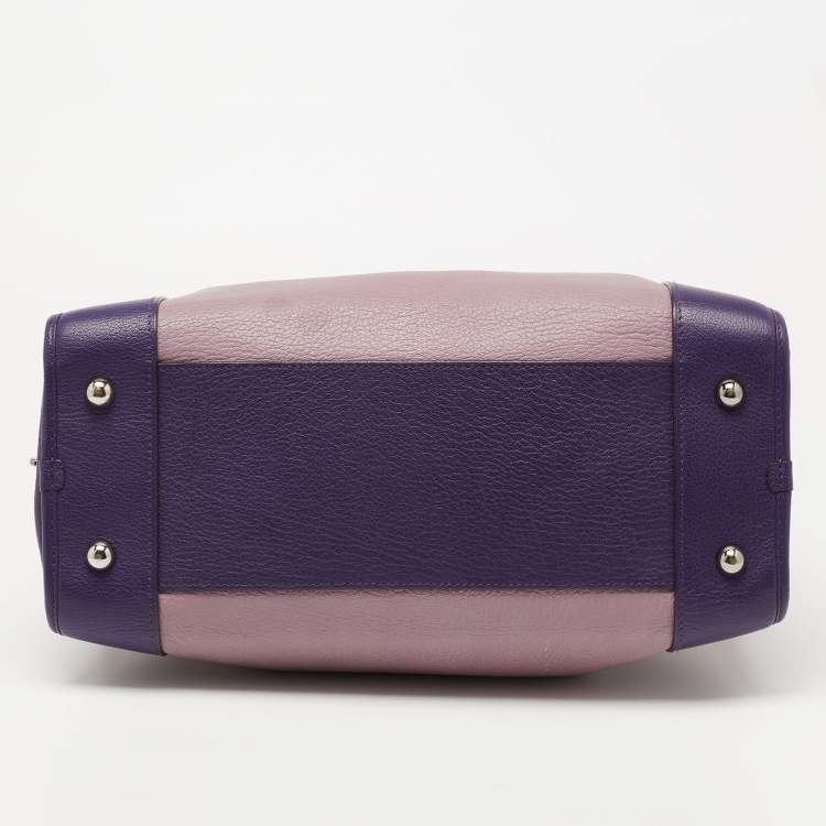 Pre Owned Loewe Tri Color Leather Amazona Satchel