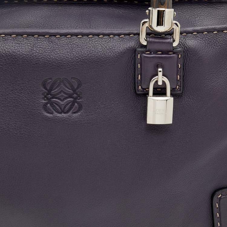 Pre Owned Loewe Purple Leather Wood Handle Amazona 36 Bag