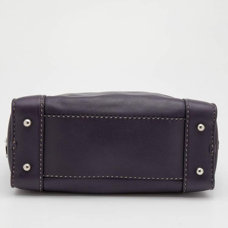 Pre Owned Loewe Purple Leather Wood Handle Amazona 36 Bag