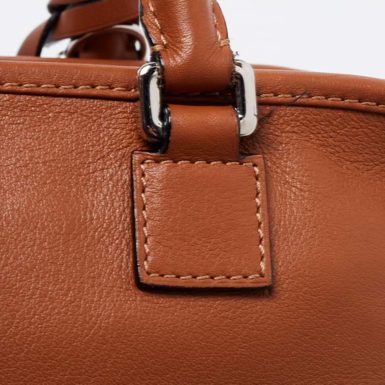 Pre Owned Loewe Brown Leather Amazona 23 Satchel