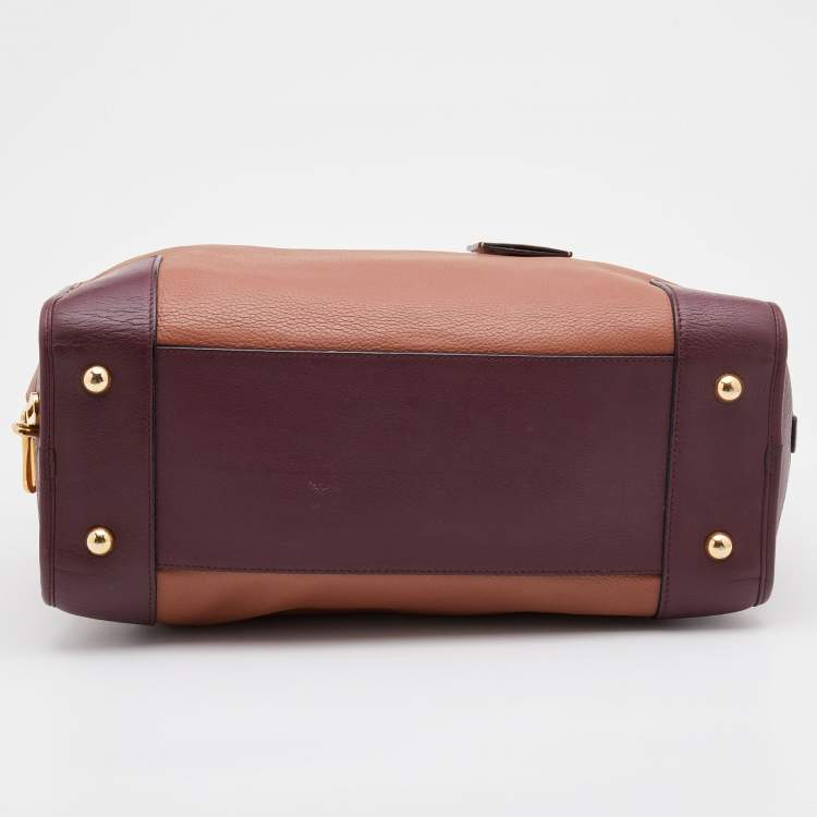Pre Owned Loewe Multicolor Leather Amazona Satchel