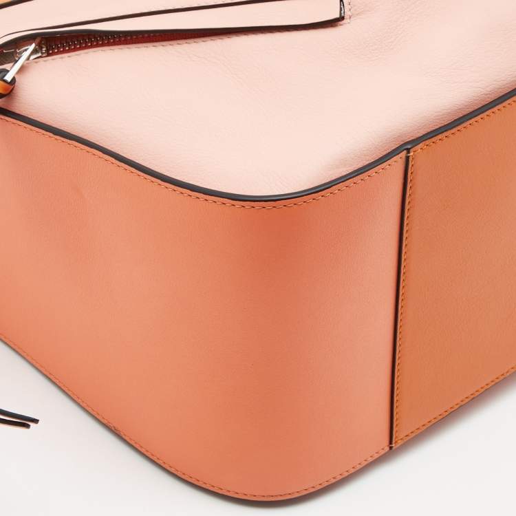 Pre Owned Loewe Tricolor Leather Small Hammock Shoulder Bag