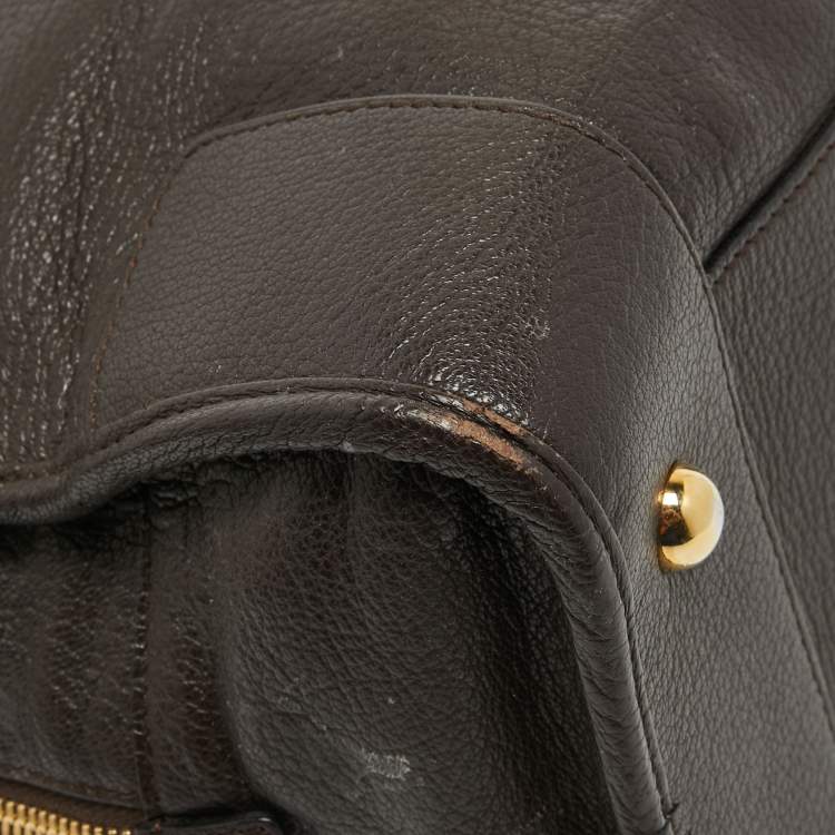 Pre Owned Loewe Brown Leather Wood Handle Amazona 36 Bag