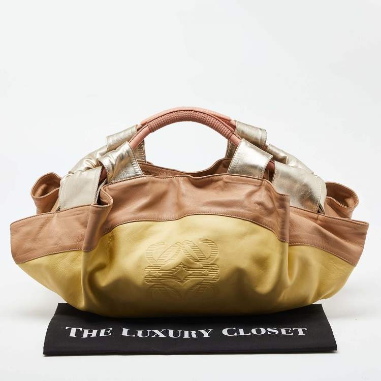 Pre Owned Loewe Multicolor Leather Aire Hobo