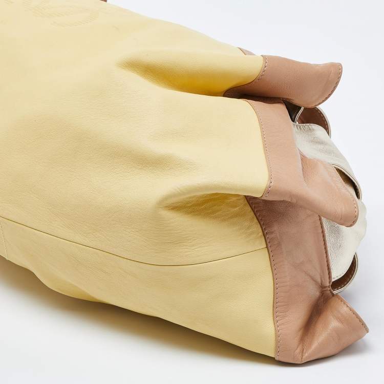 Pre Owned Loewe Multicolor Leather Aire Hobo