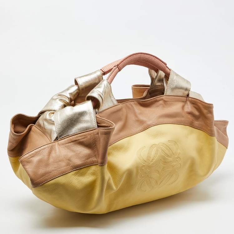 Pre Owned Loewe Multicolor Leather Aire Hobo