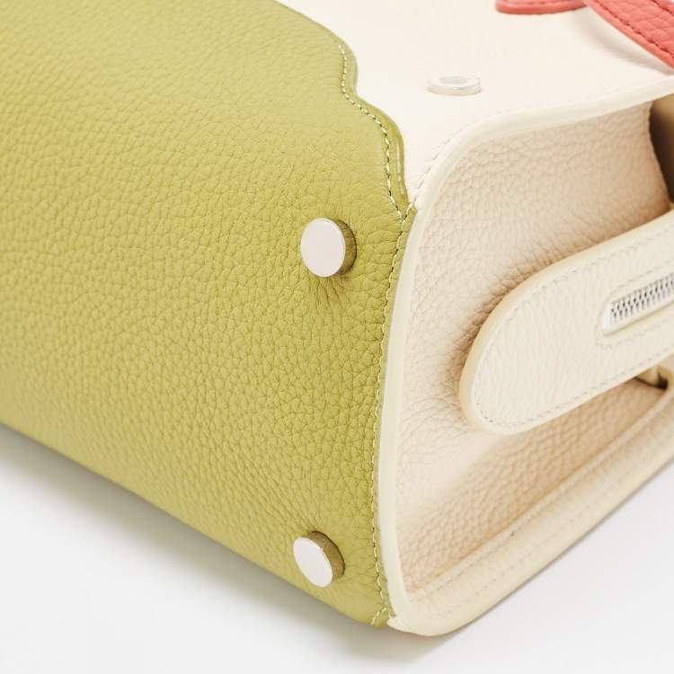 Pre Owned Loro Piana Multicolor Grained Leather Micro Sesia Tote
