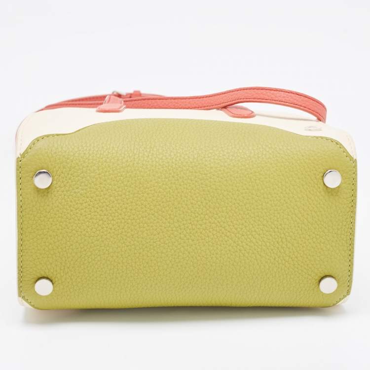 Pre Owned Loro Piana Multicolor Grained Leather Micro Sesia Tote