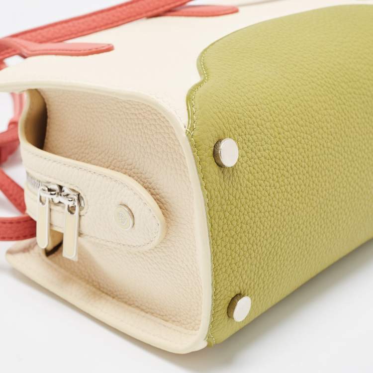 Pre Owned Loro Piana Multicolor Grained Leather Micro Sesia Tote