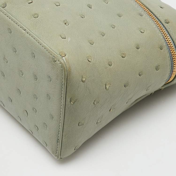 Pre Owned Loro Piana Mint Green Ostrich Extra Pocket L27 Bag