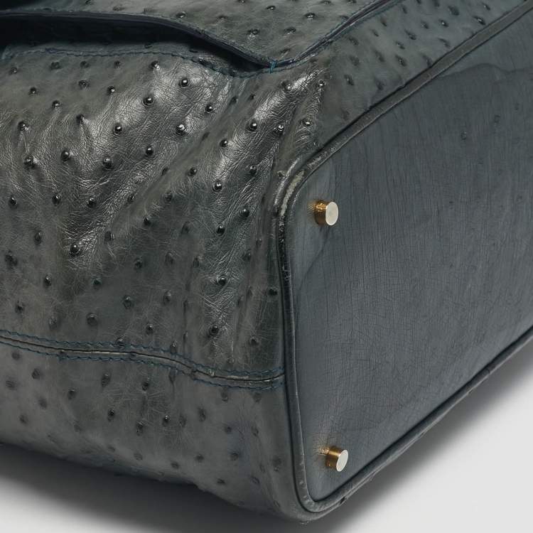 Pre Owned Loro Piana Grey Ostrich Globe Tote