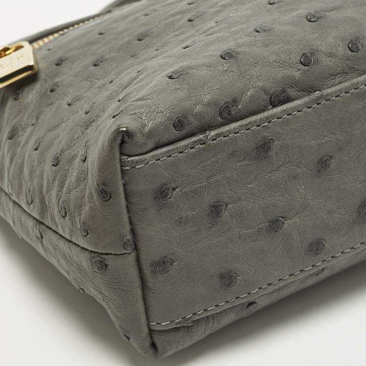 Pre Owned Loro Piana L19 Grey Ostrich Extra Pocket Pouch Clutch