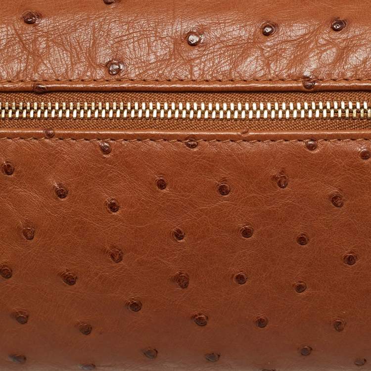 Pre Owned Loro Piana L19  Extra Pocket Brown Ostrich Pouch 
