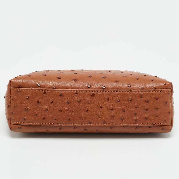 Pre Owned Loro Piana L19  Extra Pocket Brown Ostrich Pouch 