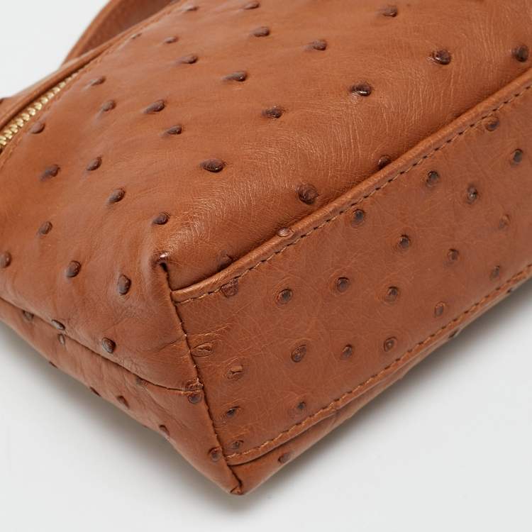 Pre Owned Loro Piana L19  Extra Pocket Brown Ostrich Pouch 