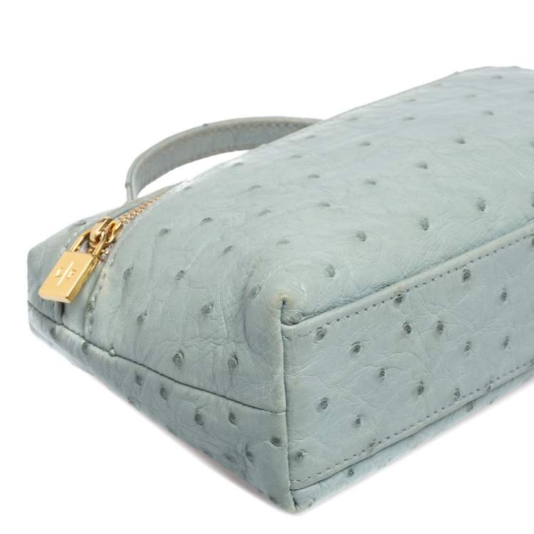 Pre Owned Loro Piana Pale Blue Ostrich L19 Pouch 