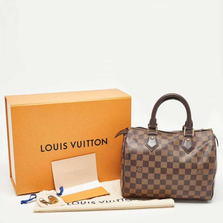 Pre Owned Louis Vuitton Damier Ebene Canvas Speedy 25 Bag