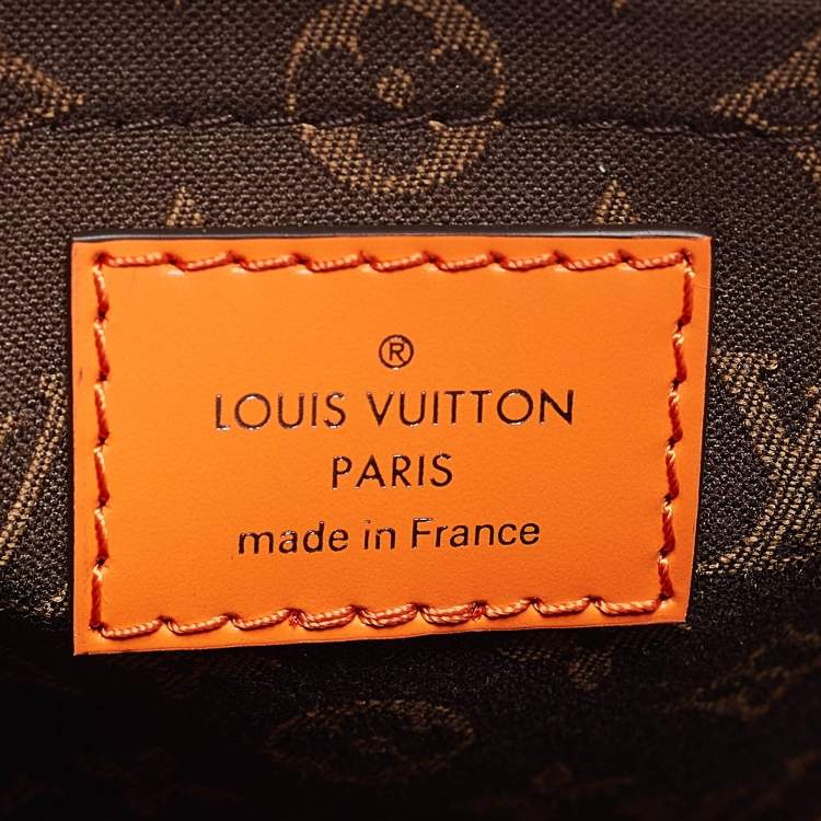 Pre Owned Louis Vuitton Orange Epi Leather Alma Backpack