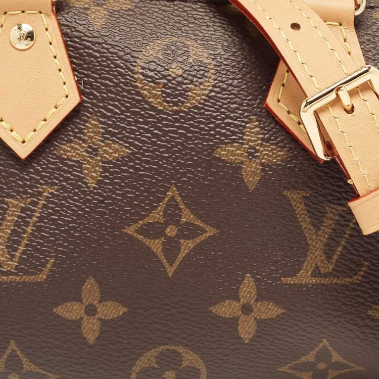 Pre Owned Louis Vuitton Monogram Canvas Speedy Nano Bag