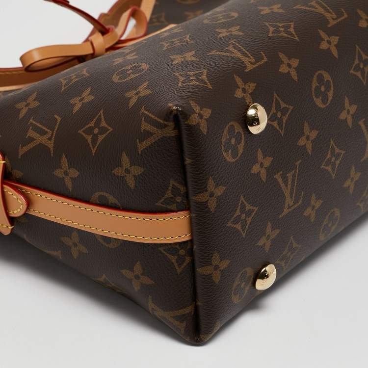Pre Owned Louis Vuitton Monogram Canvas CarryAll PM Bag
