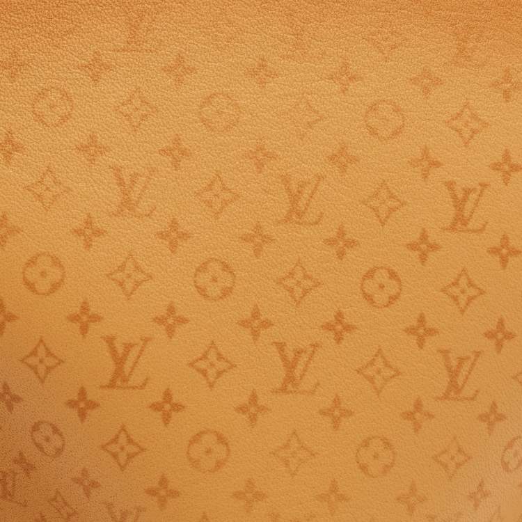 Pre Owned Louis Vuitton Fortune Cookie Tan Monogram Leather Pouch
