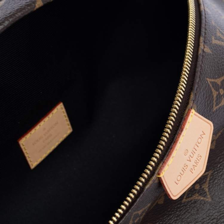 Pre Owned Louis Vuitton Monogram Canvas Bumbag MM Belt Bag
