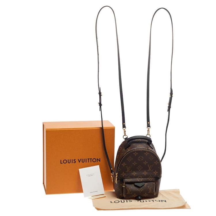Pre Owned Louis Vuitton Monogram Canvas Mini Palm Springs Backpack