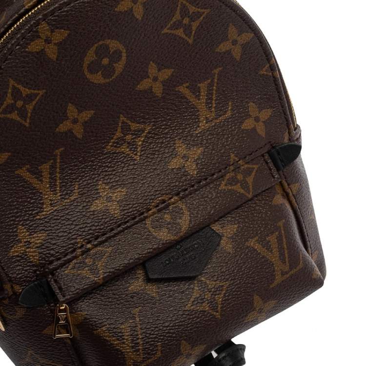 Pre Owned Louis Vuitton Monogram Canvas Mini Palm Springs Backpack