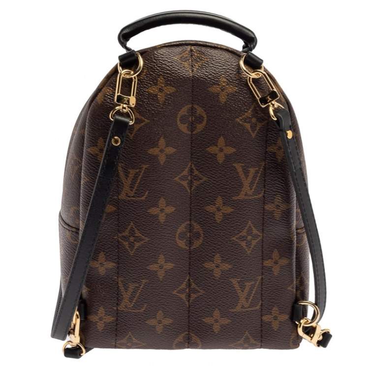 Pre Owned Louis Vuitton Monogram Canvas Mini Palm Springs Backpack