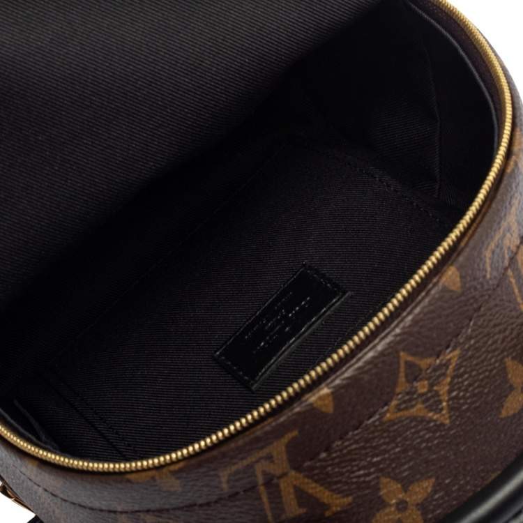 Pre Owned Louis Vuitton Monogram Canvas Mini Palm Springs Backpack
