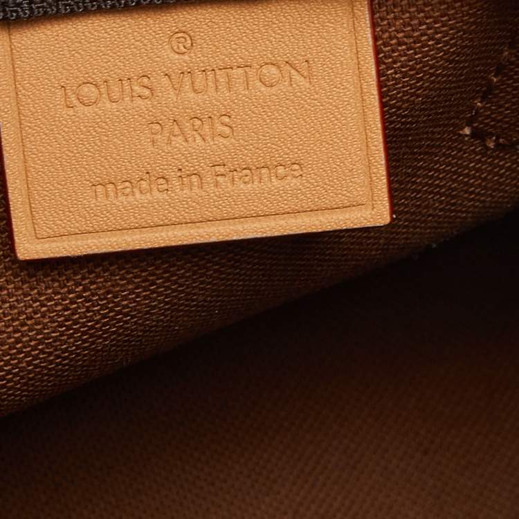 Pre Owned Louis Vuitton Monogram Canvas Speedy Nano Bag