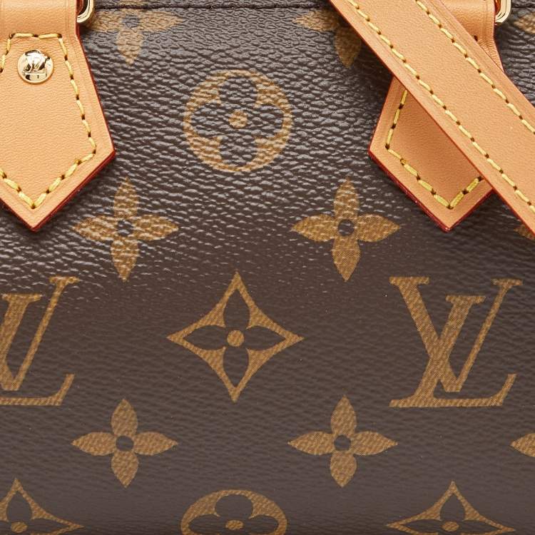 Pre Owned Louis Vuitton Monogram Canvas Speedy Nano Bag