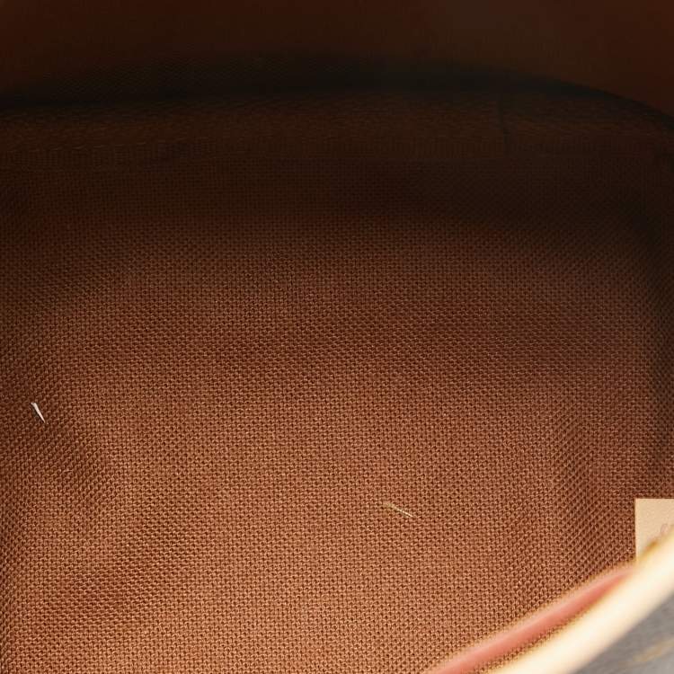 Pre Owned Louis Vuitton Monogram Canvas Nano Noe Bag