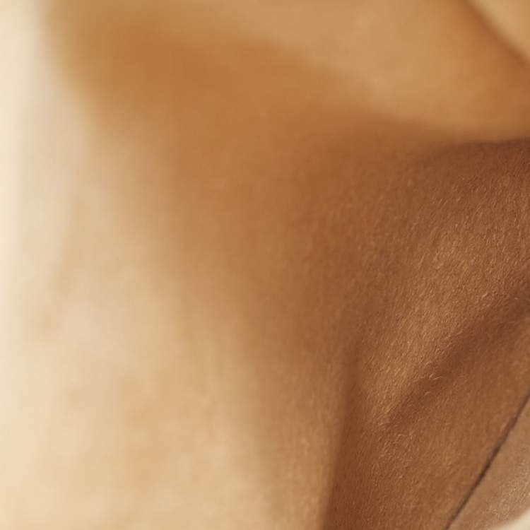 Pre Owned Louis Vuitton Monogram Canvas Pen Case