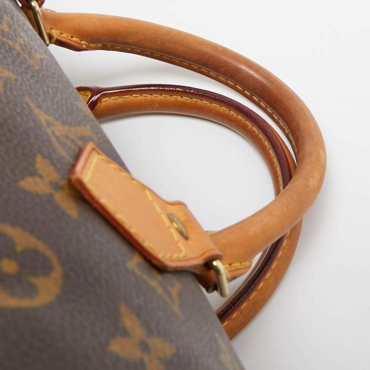 Pre Owned Louis Vuitton Monogram Canvas Speedy 30 Bag